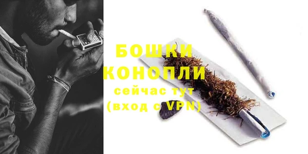 PSILOCYBIN Абаза