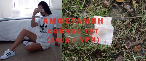 PSILOCYBIN Абаза
