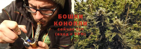 PSILOCYBIN Абаза