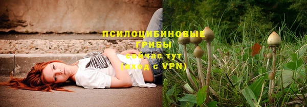 PSILOCYBIN Абаза