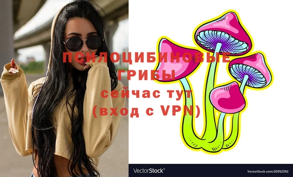 PSILOCYBIN Абаза