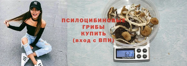 PSILOCYBIN Абаза