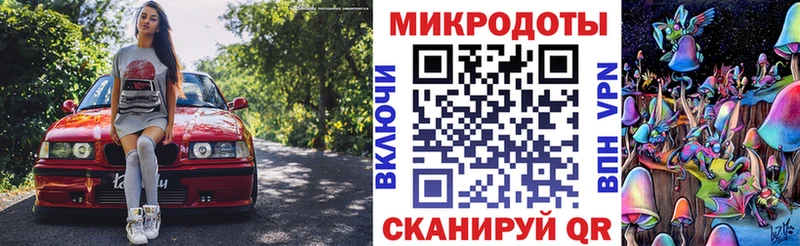 гидра вход  Дубовка  Галлюциногенные грибы Psilocybe  где купить наркоту 